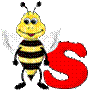 s.gif