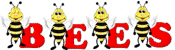 e.gif,e.gif,s.gif,b.gif